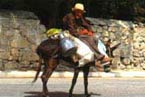 Chalkidiki